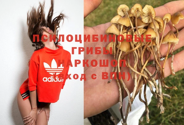 a pvp Балабаново
