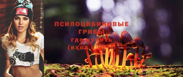 гидра Балахна