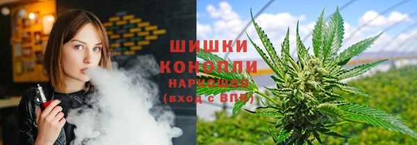 гидра Балахна